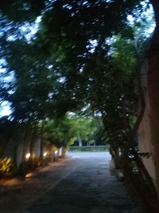 Hotel 41 Valladolid Valladolid  Kültér fotó